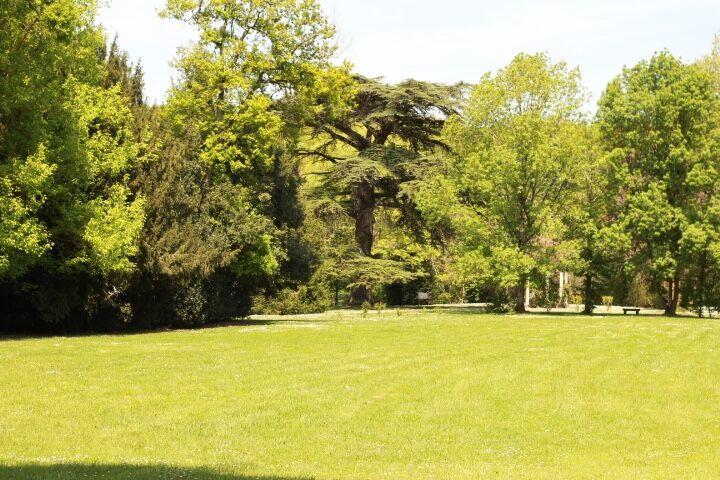Chateau Castelrives Bessieres Exterior photo